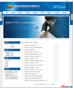 ASP精品 一款藍(lán)色漂亮的網(wǎng)絡(luò)科技公司源碼，助力技術(shù)開發(fā)新高度