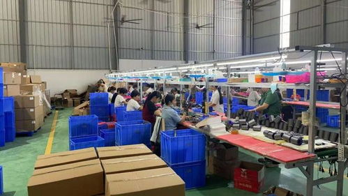 點(diǎn)贊！化州這個(gè)鎮(zhèn)“微工廠”遍地開花，留守婦女掙錢顧家兩不誤