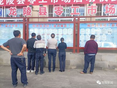 龍陵 多維度促進(jìn)就業(yè)創(chuàng)業(yè)，高質(zhì)量托穩(wěn)民生幸?！殬I(yè)中介服務(wù)的核心角色與創(chuàng)新實(shí)踐